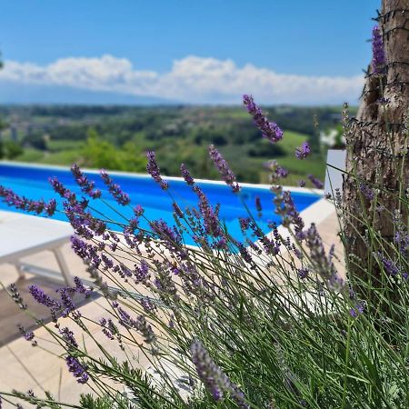 Il Nido B&B San Vito Chietino Eksteriør bilde
